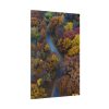 91655-130.jpg Forest in Autumn Colors Standard Canvas
