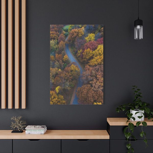 91655-133.jpg Forest in Autumn Colors Standard Canvas