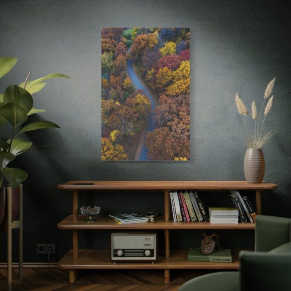 91655-134.jpg Forest in Autumn Colors Standard Canvas