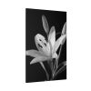 Lilies Flower  Standard Canvas