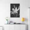Lilies Flower  Standard Canvas