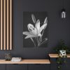 Lilies Flower  Standard Canvas