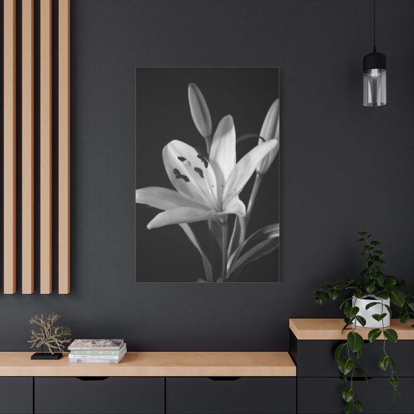 Lilies Flower  Standard Canvas