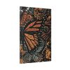 91655-30.jpg Digital Art Butterfly Artwork Standard Canvas
