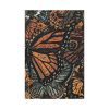 91655-31.jpg Digital Art Butterfly Artwork Standard Canvas