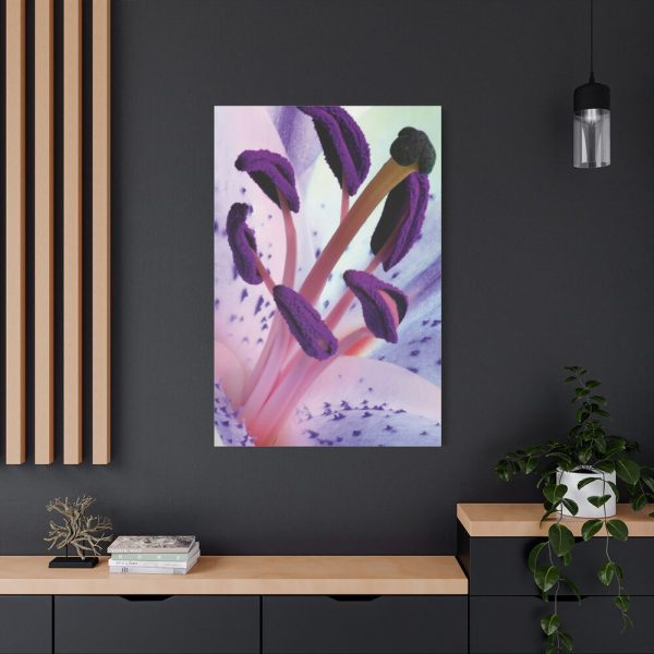 Beautiful Lily Standard Canvas