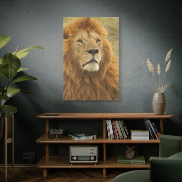 91655-4.jpg Lion Closeup Africa Standard Canvas