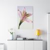 91655-42.jpg Pink Lily Standard Canvas
