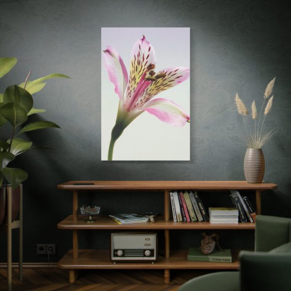 91655-44.jpg Pink Lily Standard Canvas