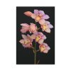 91655-51.jpg Pink Boat Orchid Standard Canvas