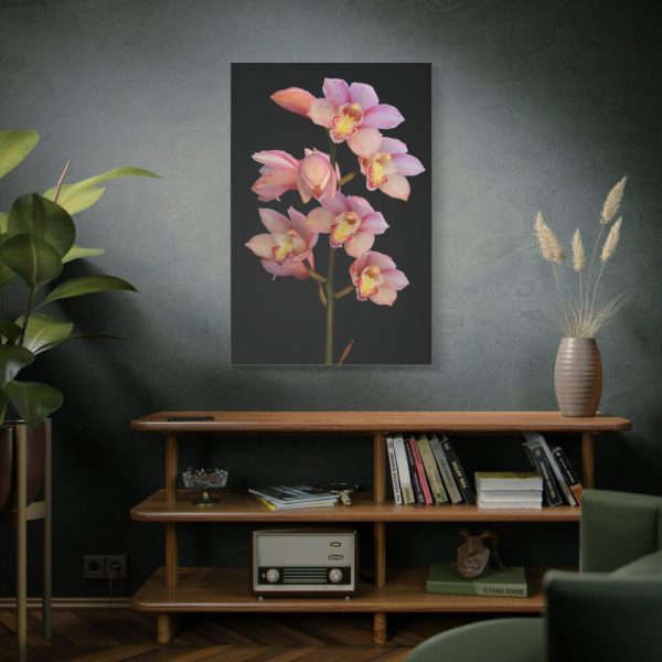 91655-54.jpg Pink Boat Orchid Standard Canvas