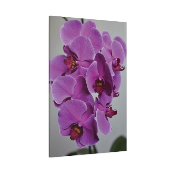 Exotic Orchid   Standard Canvas