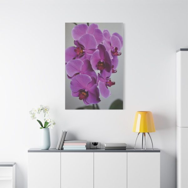 Exotic Orchid   Standard Canvas
