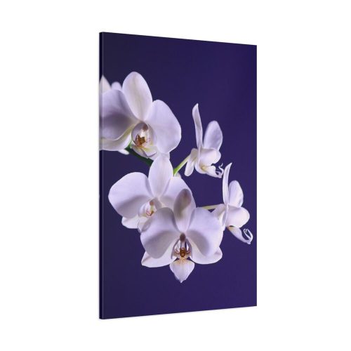Blue Orchid  Standard Canvas