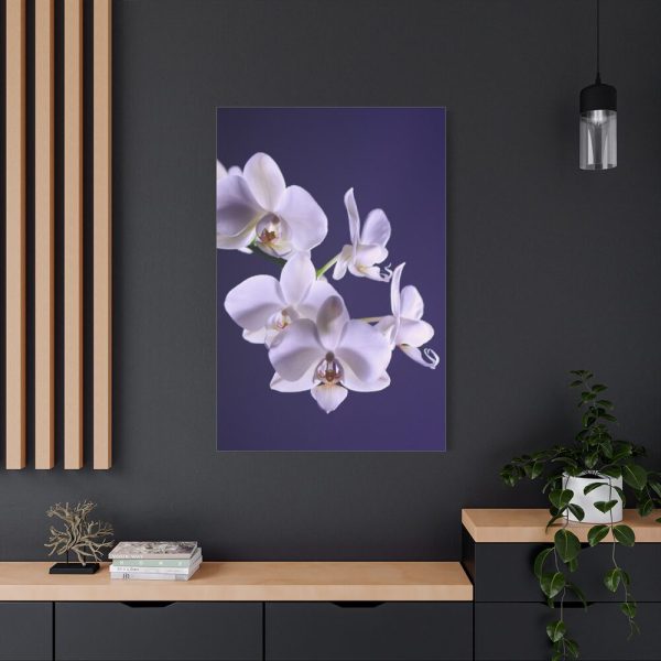 91655-63.jpg Blue Orchid Standard Canvas