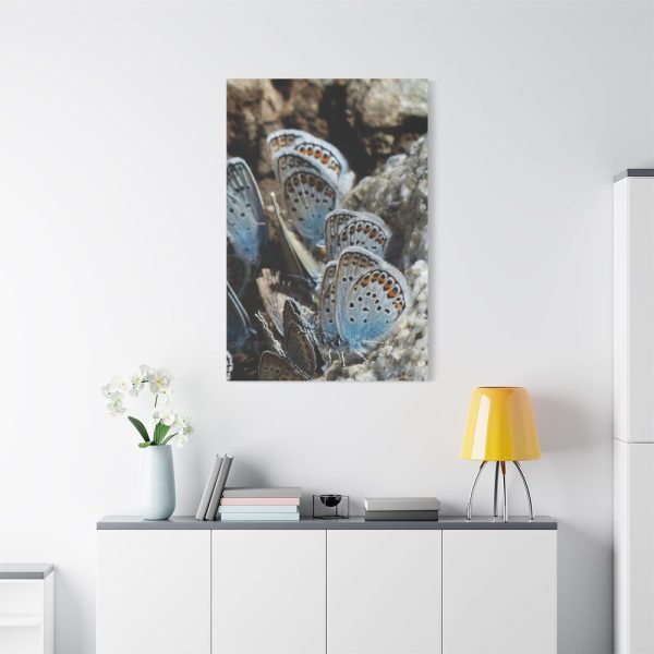 91655-67.jpg Blue Butterflies Standard Canvas