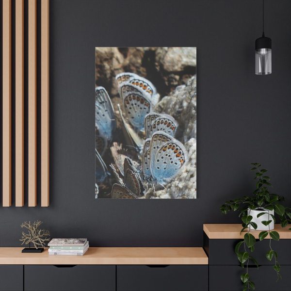 91655-68.jpg Blue Butterflies Standard Canvas