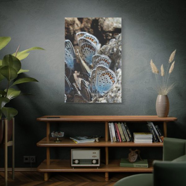91655-69.jpg Blue Butterflies Standard Canvas