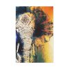 91655-71.jpg Drawing Elephant Colorful Color Standard Canvas