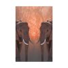 Two Elephants in the Zoo Standard Canvas