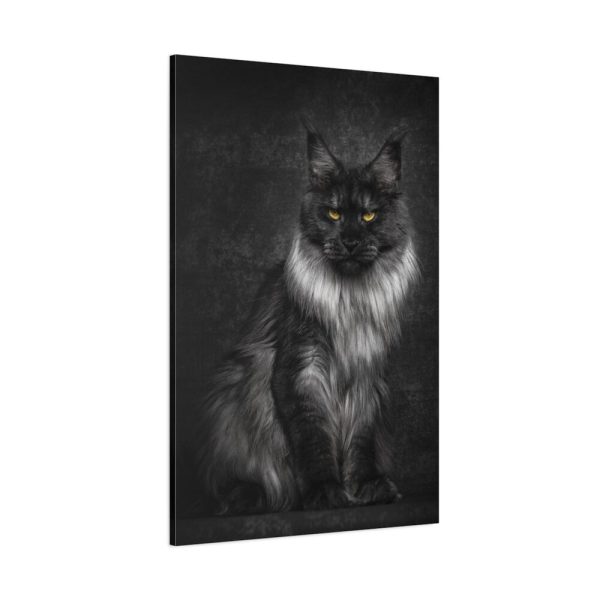 91655-90.jpg Black Silver Maine Coon Cat Sitting Standard Canvas