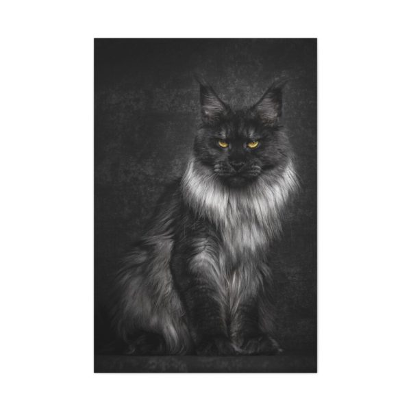 91655-91.jpg Black Silver Maine Coon Cat Sitting Standard Canvas