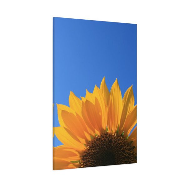 91655-95.jpg Sunflower Blue Sky Standard Canvas