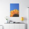 91655-97.jpg Sunflower Blue Sky Standard Canvas