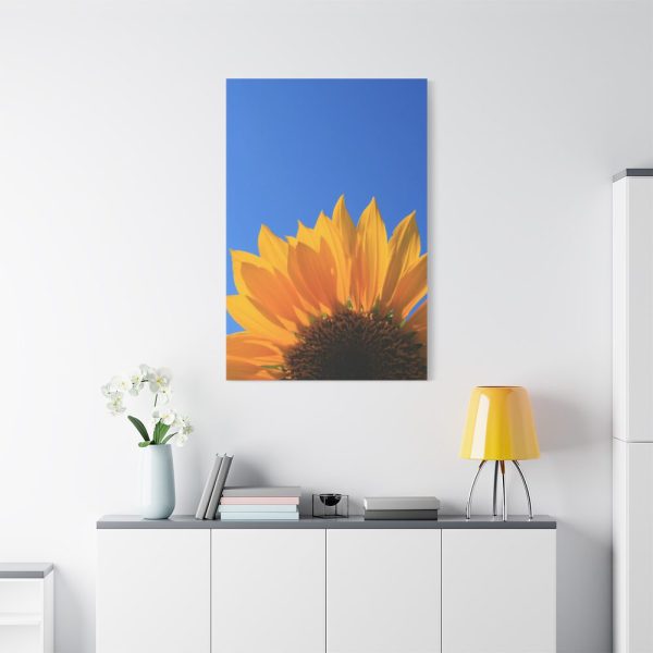 91655-97.jpg Sunflower Blue Sky Standard Canvas