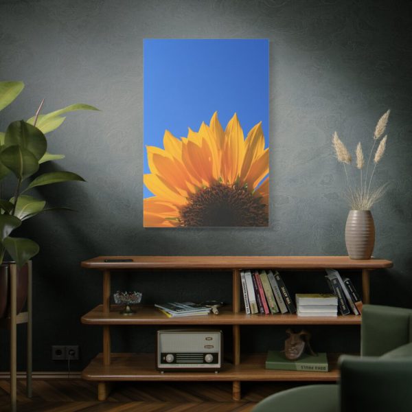 91655-99.jpg Sunflower Blue Sky Standard Canvas