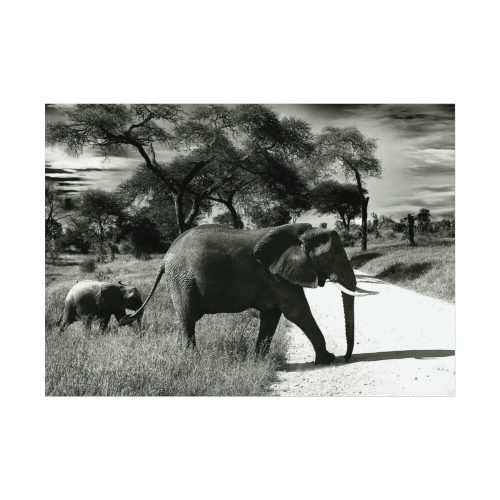 92368-10.jpg Mother and Baby Elephant on the Road Poster