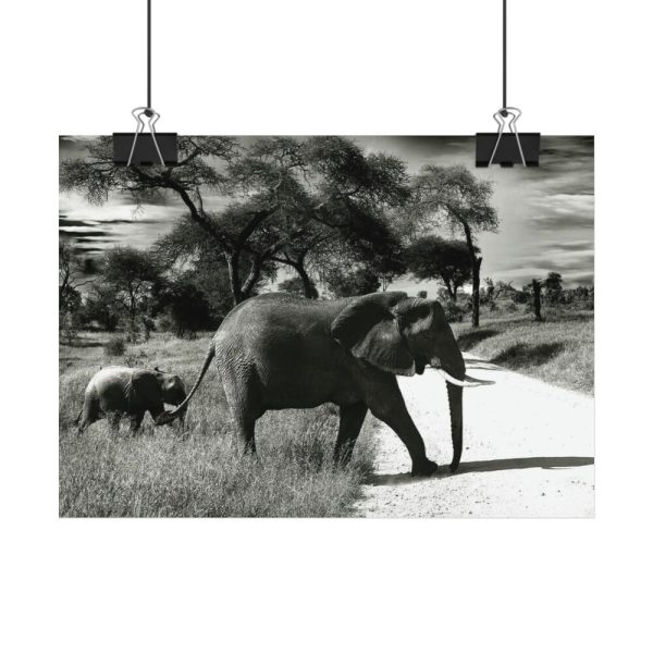 92368-11.jpg Mother and Baby Elephant on the Road Poster