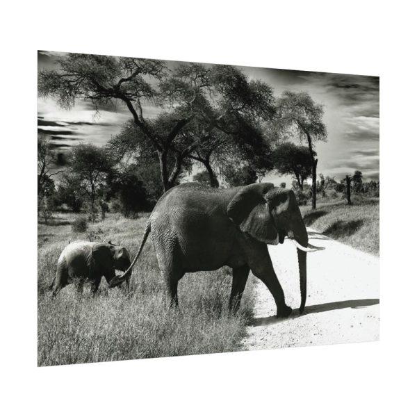 92368-12.jpg Mother and Baby Elephant on the Road Poster