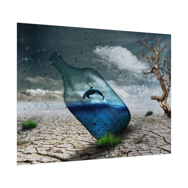 92368-17.jpg Bottle Dolphin in Desert Poster