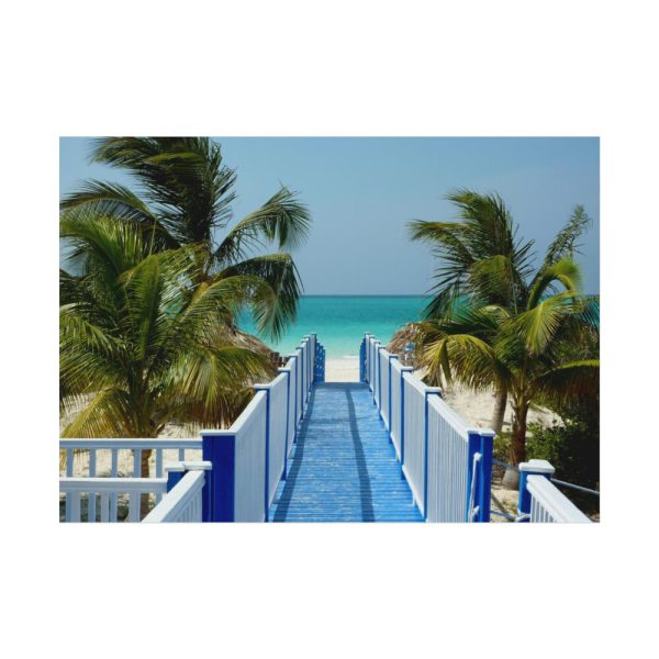 92368-25.jpg Sunny Beach With Palm Tree and Blue Sky Poster