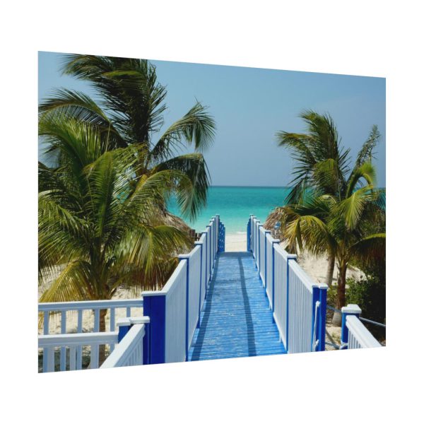 92368-27.jpg Sunny Beach With Palm Tree and Blue Sky Poster
