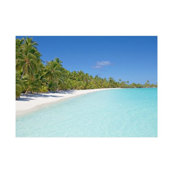 92368-30.jpg Sunny Beach With Palm Tree Poster