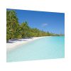92368-32.jpg Sunny Beach With Palm Tree Poster