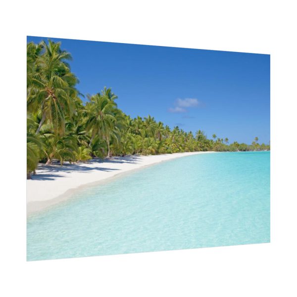 92368-32.jpg Sunny Beach With Palm Tree Poster