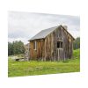 92368-47.jpg Old Cabin in Nature Poster