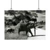 92369-11.jpg Mother and Baby Elephant on the Road Poster