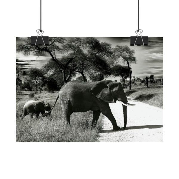 92369-11.jpg Mother and Baby Elephant on the Road Poster