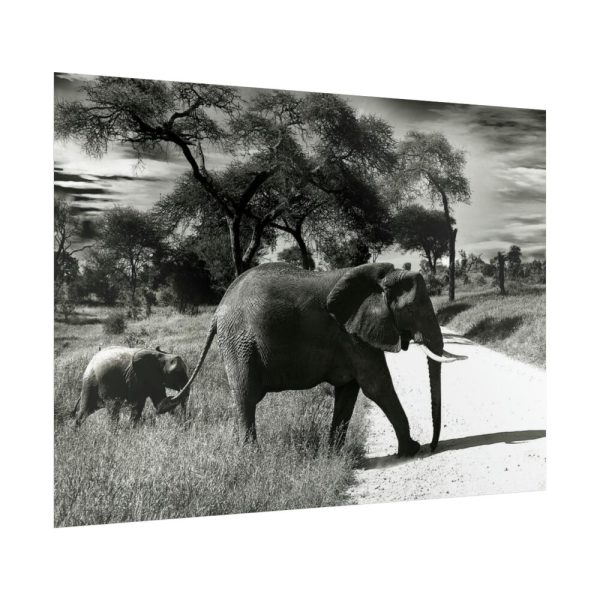 92369-12.jpg Mother and Baby Elephant on the Road Poster