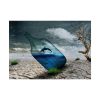 92369-15.jpg Bottle Dolphin in Desert Poster