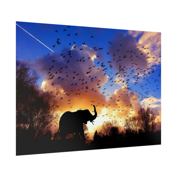 92369-2.jpg Elephants and Birds in the Nature Poster
