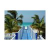 92369-25.jpg Sunny Beach With Palm Tree and Blue Sky Poster