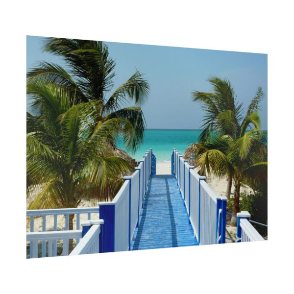 92369-27.jpg Sunny Beach With Palm Tree and Blue Sky Poster