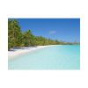 92369-30.jpg Sunny Beach With Palm Tree Poster