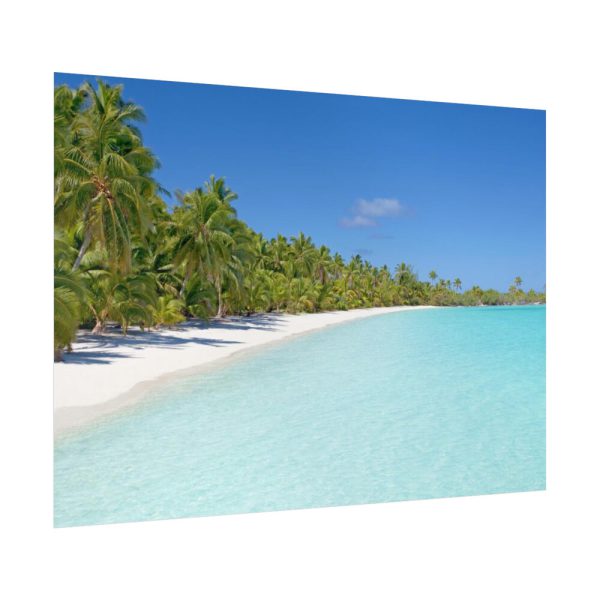 92369-32.jpg Sunny Beach With Palm Tree Poster