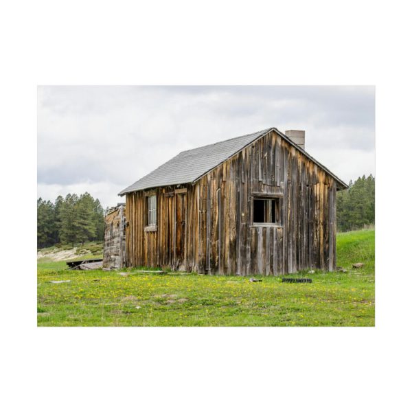 92369-45.jpg Old Cabin in Nature Poster